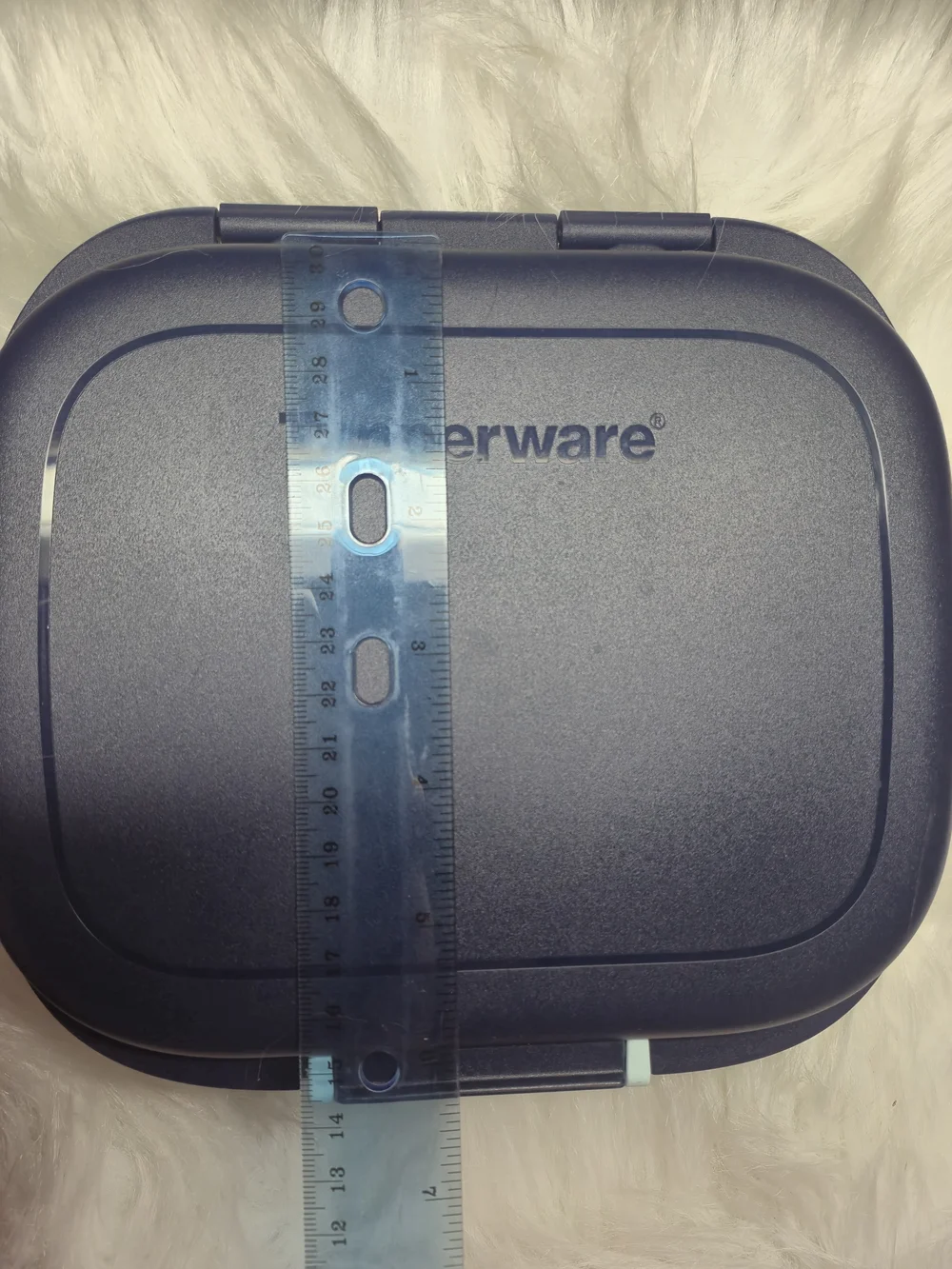 Tupperware Navy Blue Lunch Box with Mint Green Latch